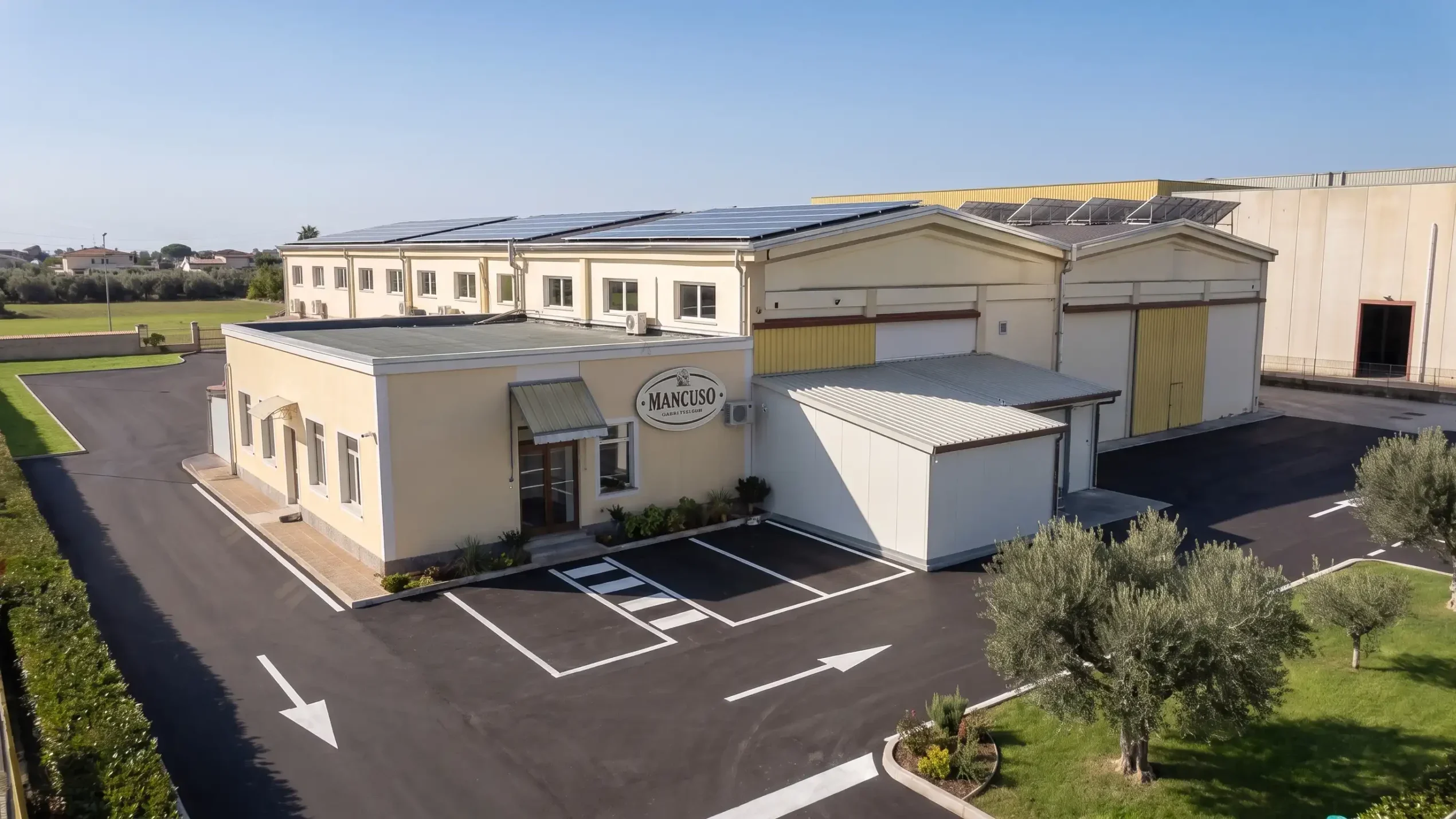 Mancuso Gelati: production of fresh gelato and desserts - Mancuso Group